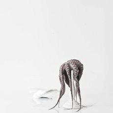 misia | #ittica.