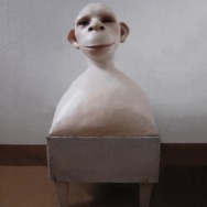 Monika Grycko | HOLY MONKEY