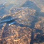 Paul Green | Old Jewish Cemetery Glogow, Oder River, Poland