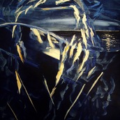 Pepa Martinez | Energia Toroidal de Gaviotas I