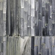 Peter Gaber | Gray woods