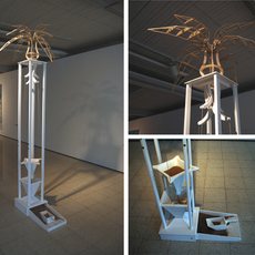 Petri Eskelinen | A dry place’s plant
