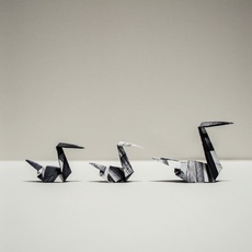 Pietro Gardoni | Paper - making of
