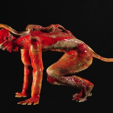 Pietro Tomassi | Fuoco