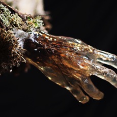 CARLES PIERA _POLIFEMO_ | Detalle Porté