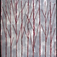 Prazz | Shangai forest