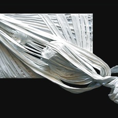 Rosaria Pugliese | Controvento