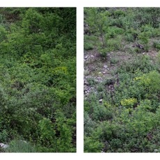 Samuele Bianchi | ”Untitled 03” dalla serie ”Visto, non detto.”