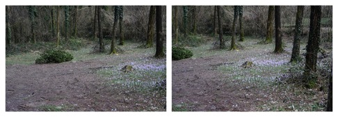 Samuele Bianchi | ”Untitled 01” dalla serie ”Visto, non detto.”