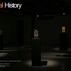 SANTISSIMI | Natural History