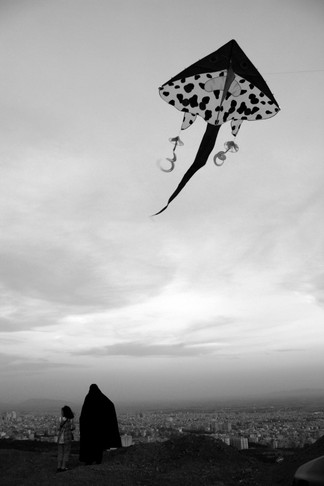 Siavash Samimi | Untitled