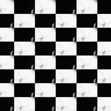 SILVIO BALESTRA | serie Field -Damiera /Vergine 2 - Edizione unica