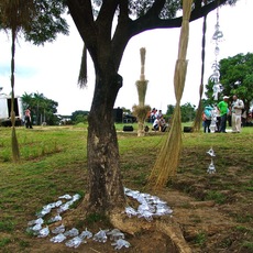 Sobeida Luque | equilibrio