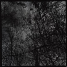 Stefano Mion | 03