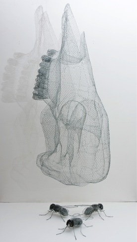 Stefano Zaratin | Strollingflies