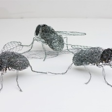 Stefano Zaratin | Strollingflies (Particolare)