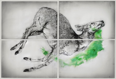 Susanna Zanella | Cervus elaphus