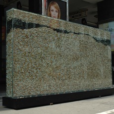 Wenqin Chen | Specimen