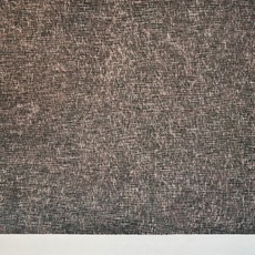 Zenon Burdy | Harbour 14a