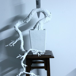 Alberto Michelutti | innesto
