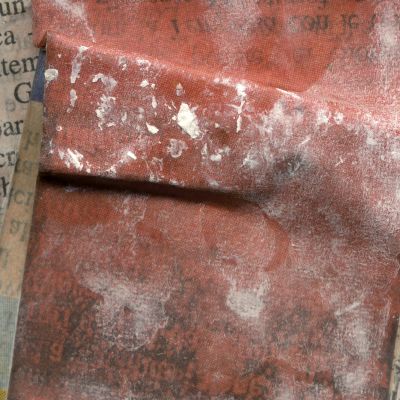 Alessandra Ghiraldelli | Newspict