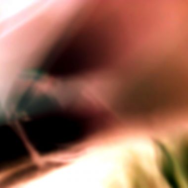 Alessandro Lonzardi | Ritratto di donna