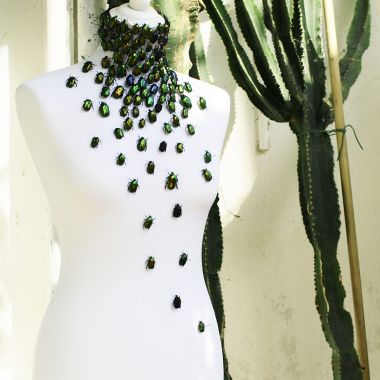 Alice Padovani | Cetonia Aurata o Dell’eterna rinascita