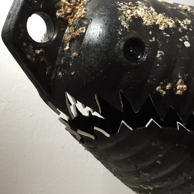 CAt Borruso | Mare Nostrum