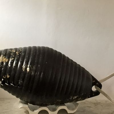 CAt Borruso | Mare Nostrum