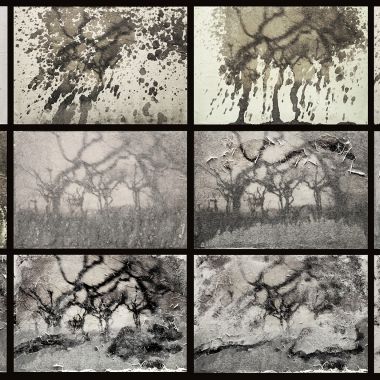 Cecilia Hurtado | The Dormant Image