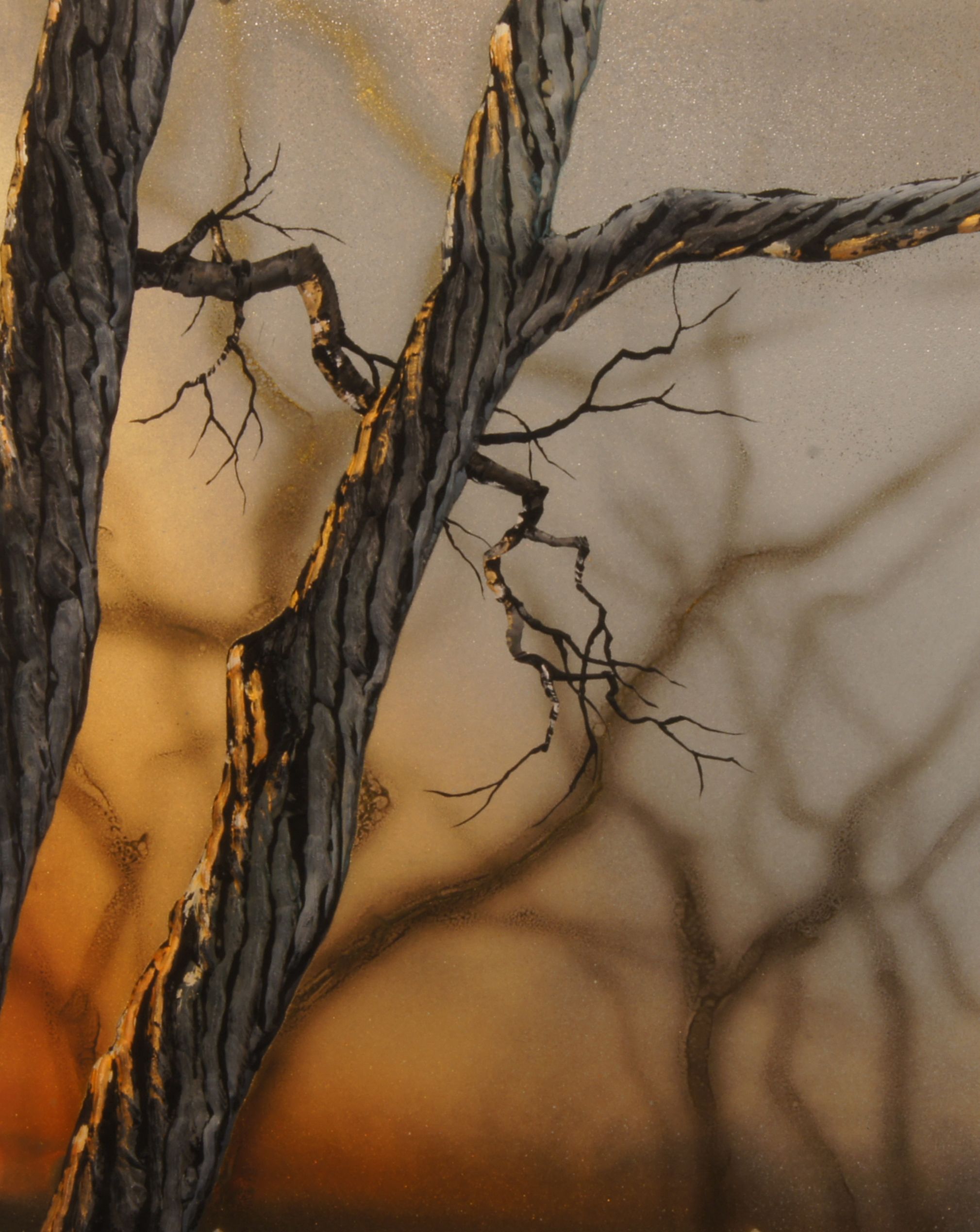 Christopher Owen Nelson | Glimpse