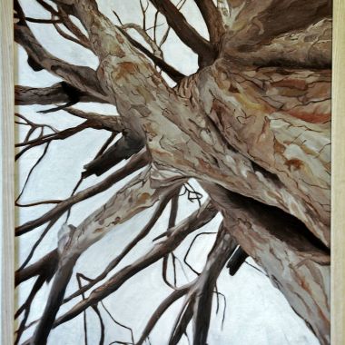 Costanza Lettieri | Proiezioni