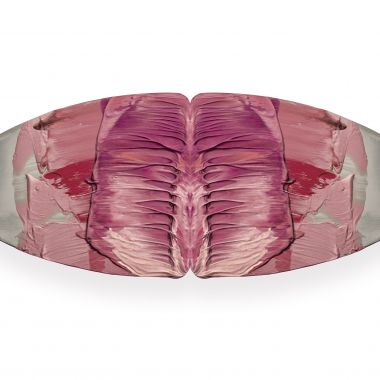 Cristiano Di Martino | Anatomia del Colore-Pube