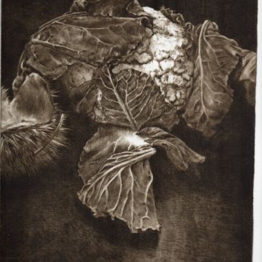 Daniela Savini | Cavolfiore