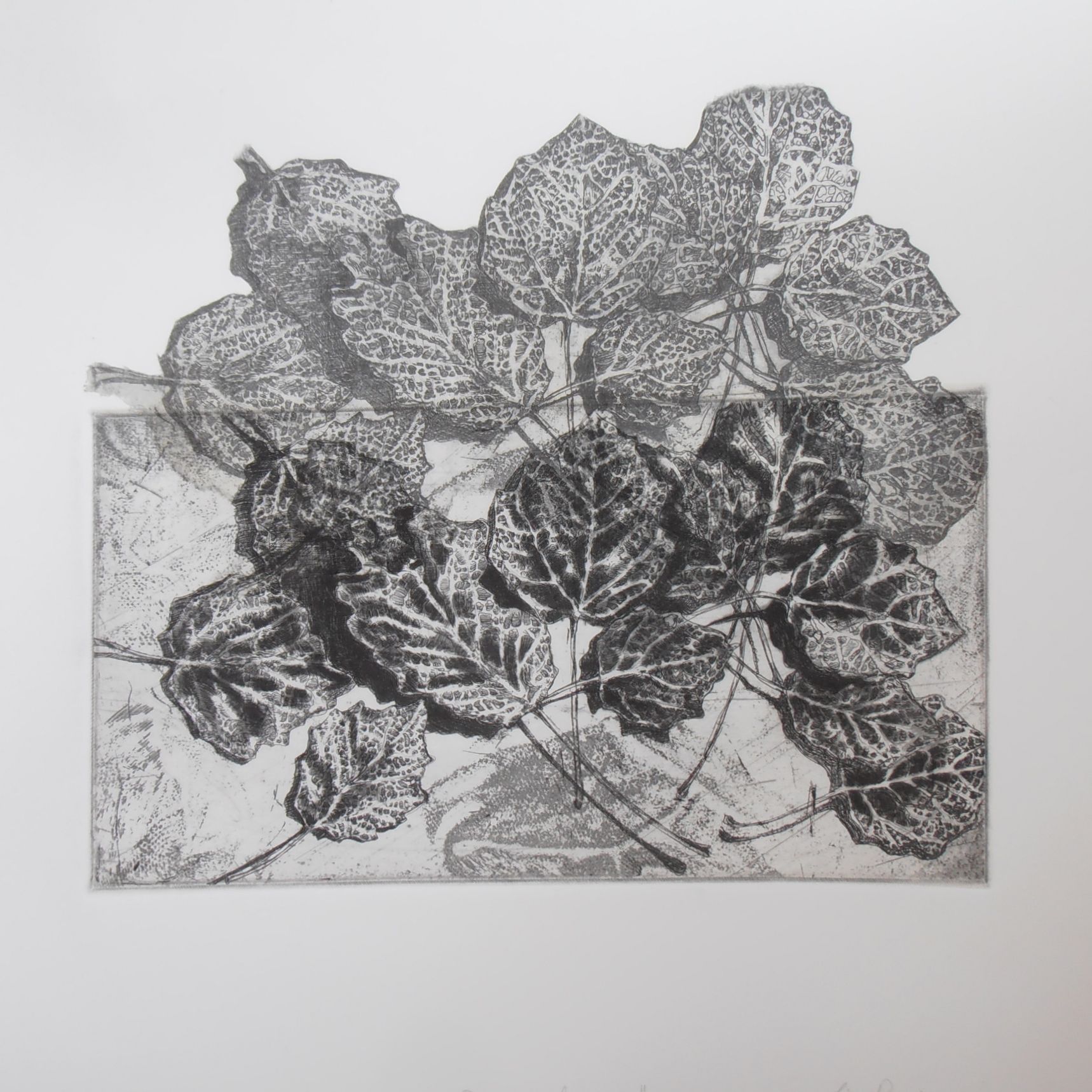 Elisa Pasini | ”Still think-pensiero calmo”