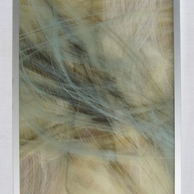Elisabetta Gomirato | B8Ve –Asterope