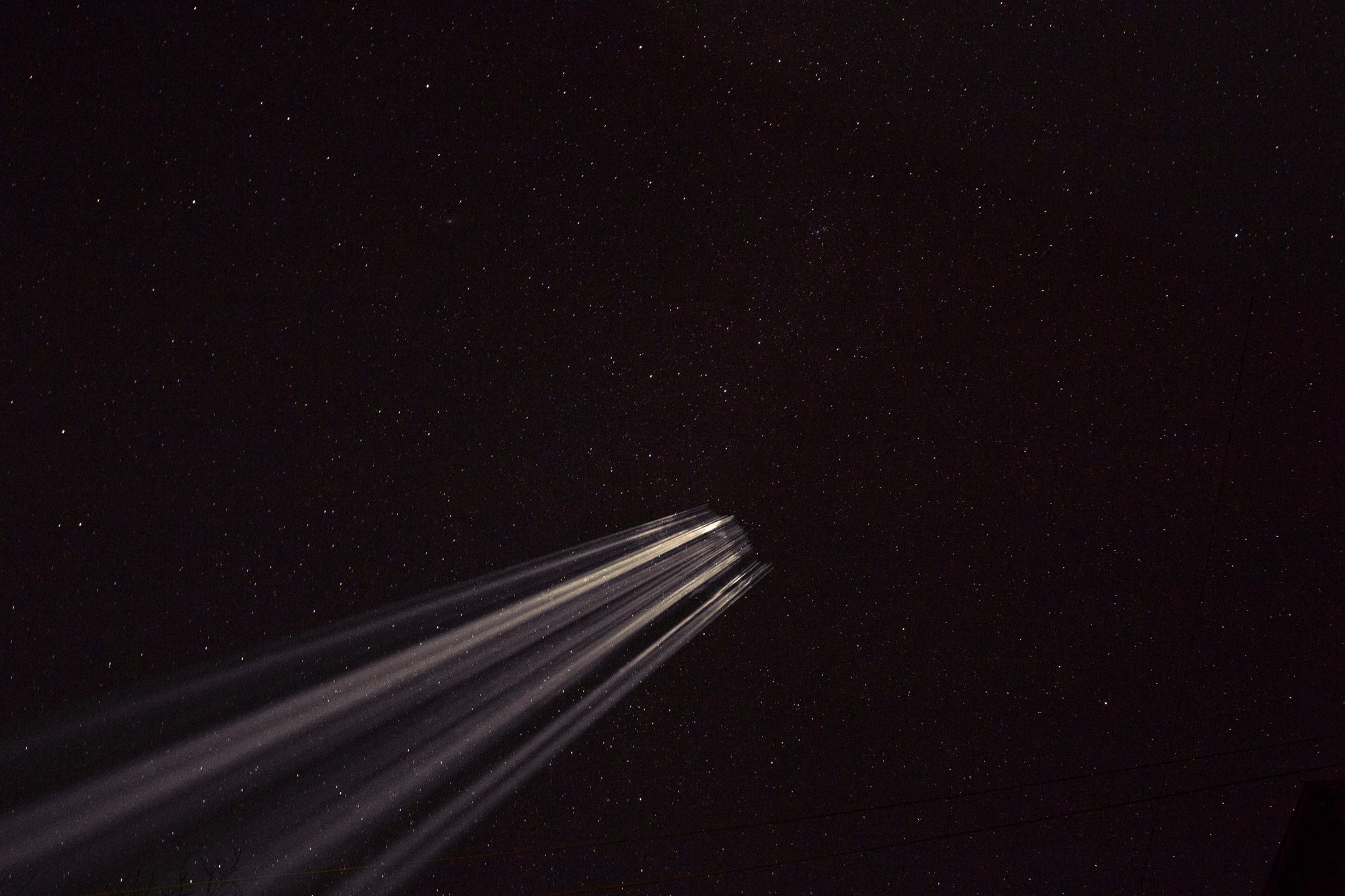 eric davanzo | Sciame