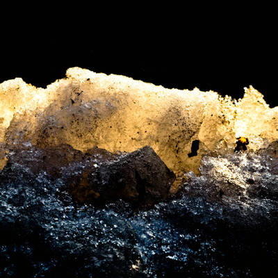 Fleur Le Gros | Radiance