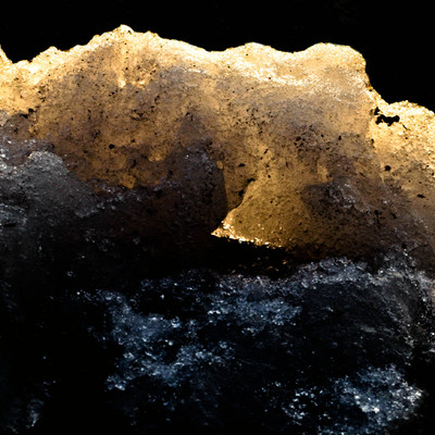 Fleur Le Gros | Radiance