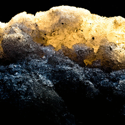 Fleur Le Gros | Radiance