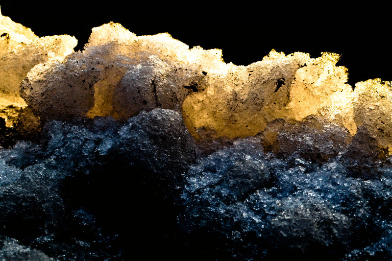 Fleur Le Gros | Radiance