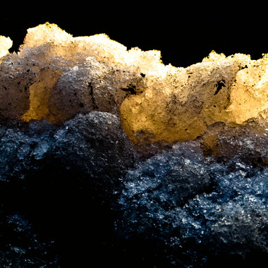 Fleur Le Gros | Radiance