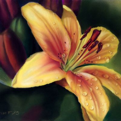 Francesca Barnini | Lilium