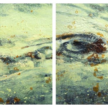 Francesco Villicich | Untitled - Torrent 19 - dyptich