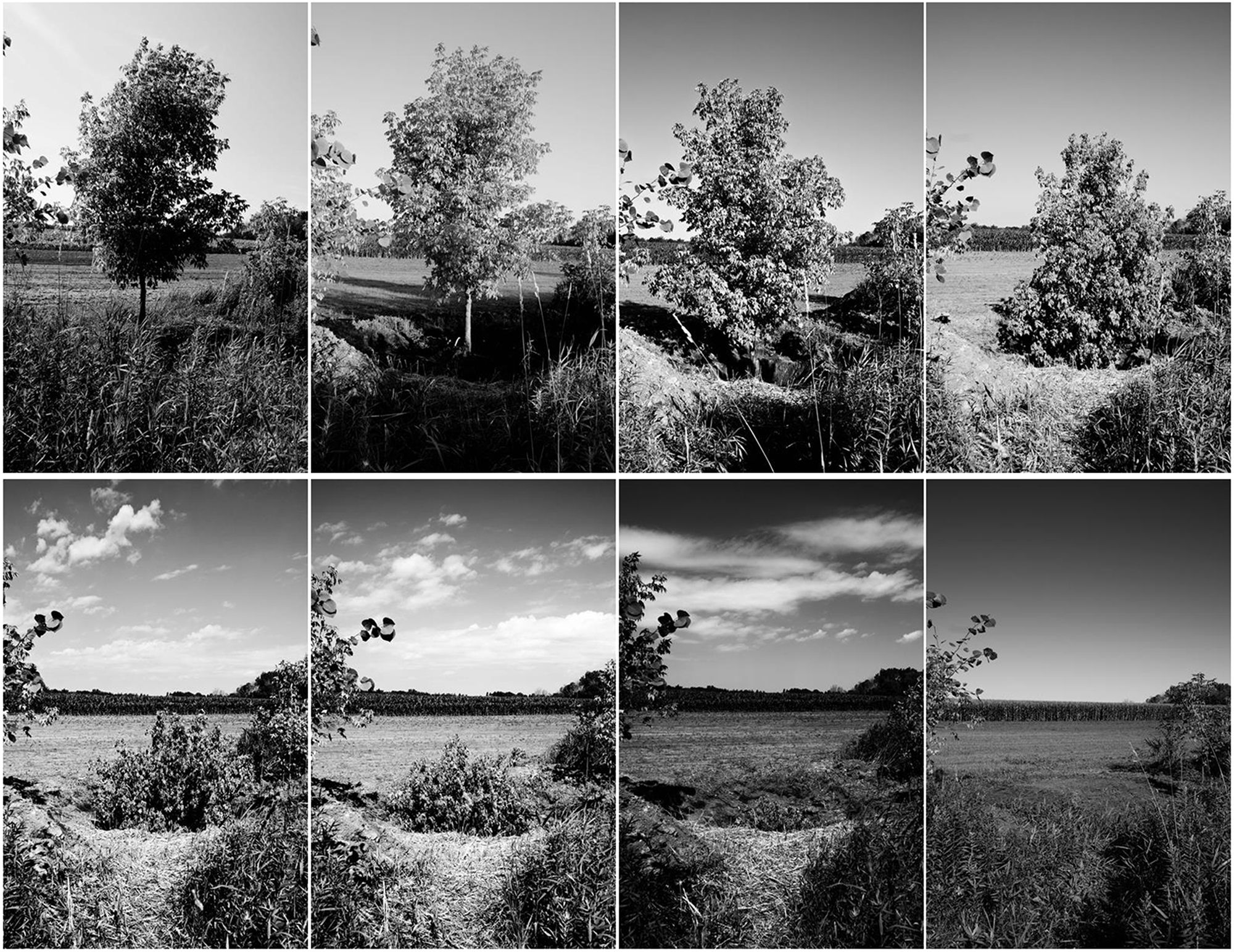 Freya Gabie | Romantic Gesture