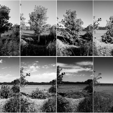 Freya Gabie | Romantic Gesture