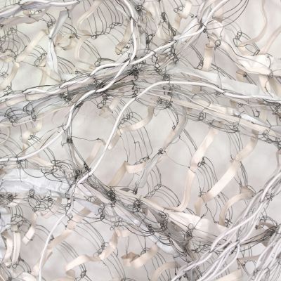 Hannah Quinlivan | Detail from Connective Tissue