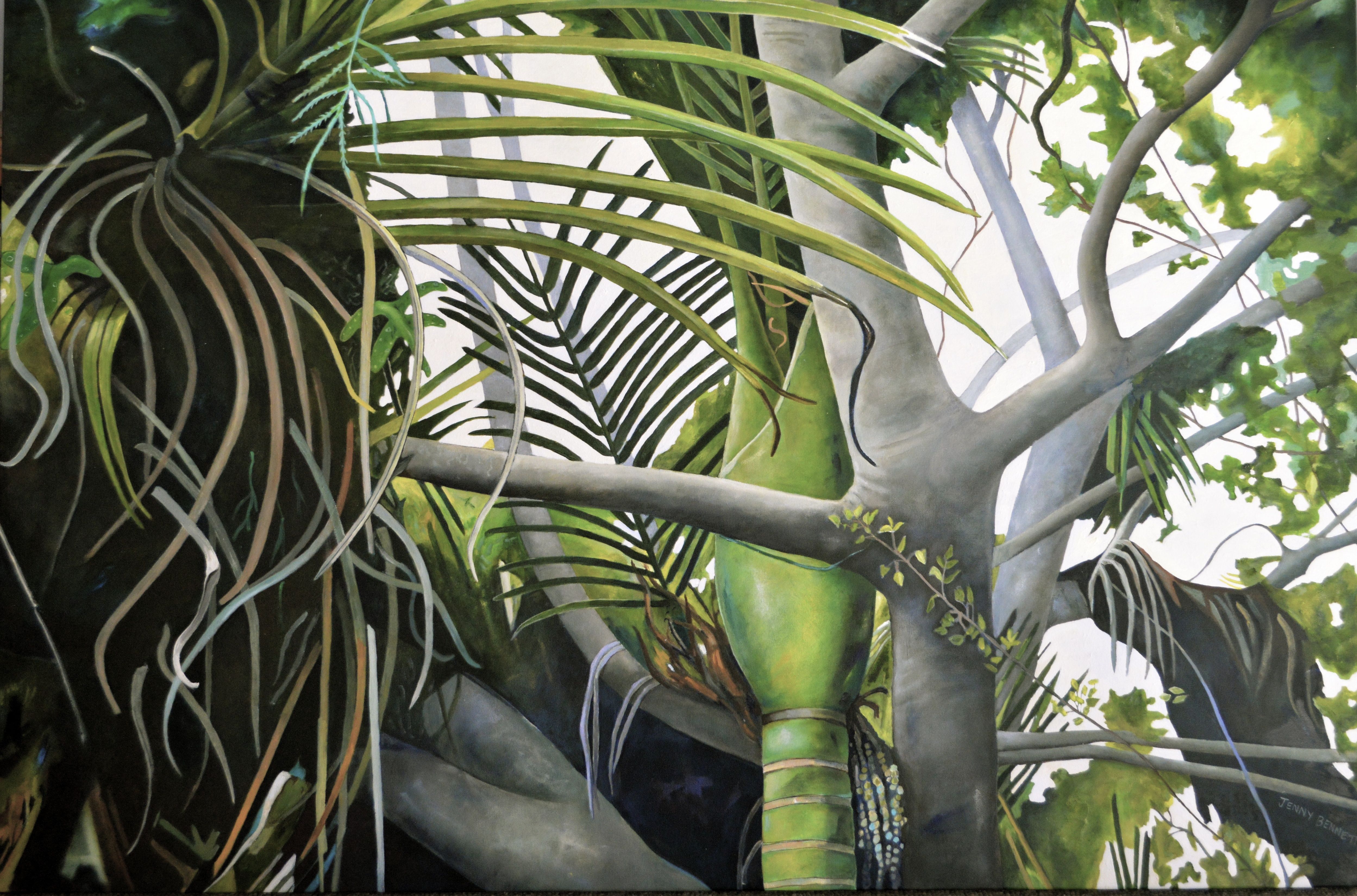 Jenny Bennett | Nikau et al Hokianga