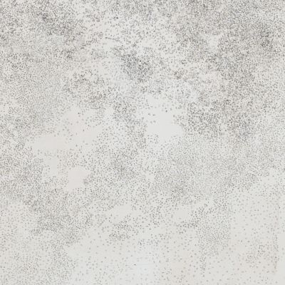 Katia Dilella | Particolare 2 ermeticamente poetico