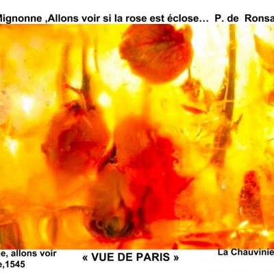 lachauviniere_riant | migonne ronsard